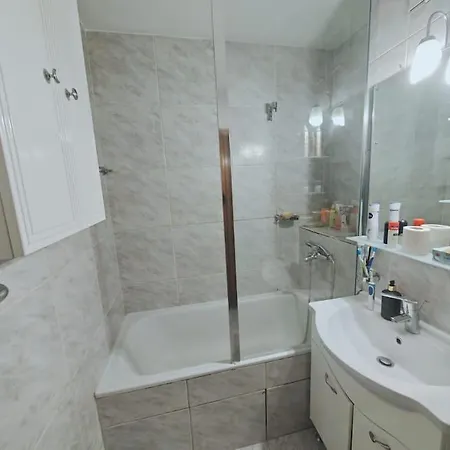 Botanica-centru Apartment *